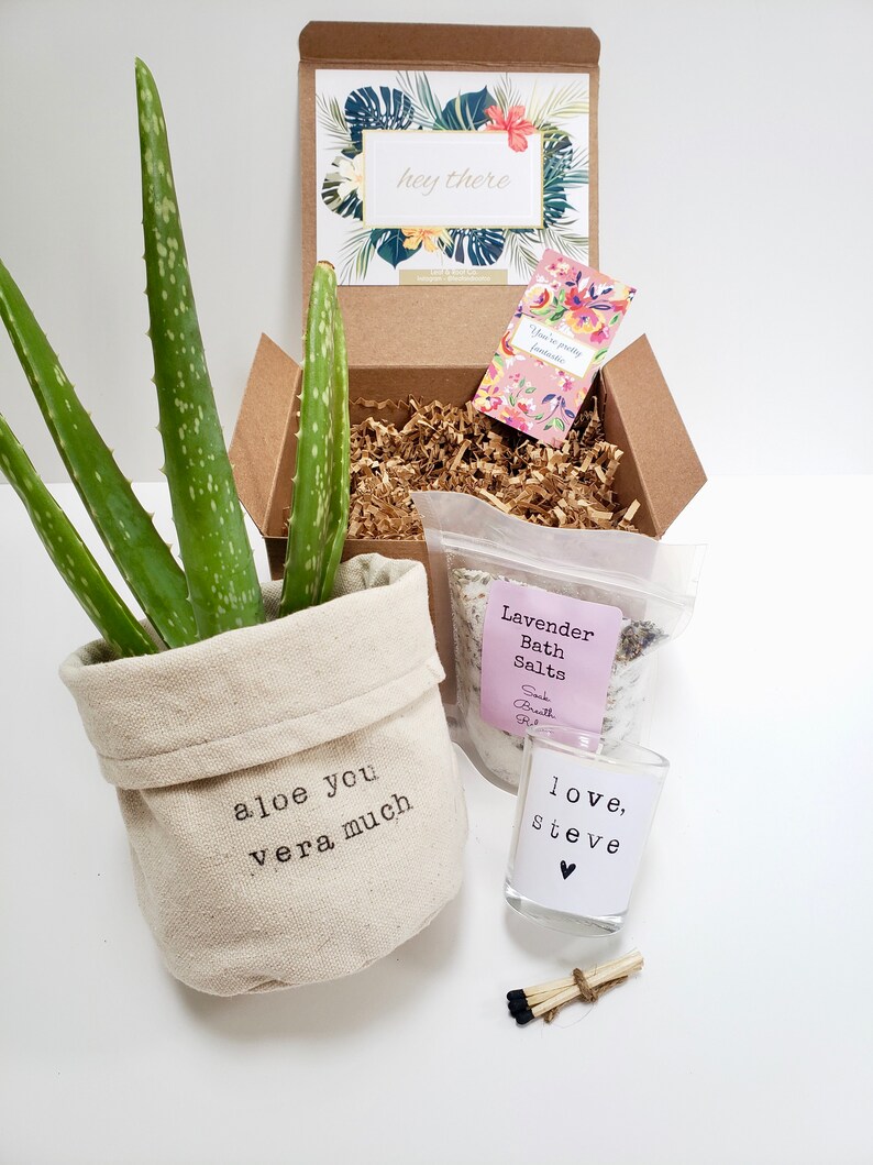 May include: A gift box filled with a potted aloe plant, a bag of lavender bath salts, a small candle with the text "love, Steve", and a small card with the text "You're pretty fantastic".