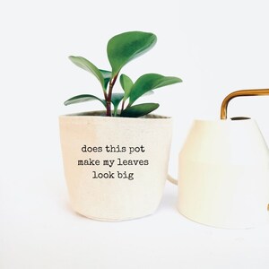 May include: A small green plant in a white fabric pot with the text "does this pot make my leaves look big" printed on the front. The plant is next to a white watering can with a gold spout.