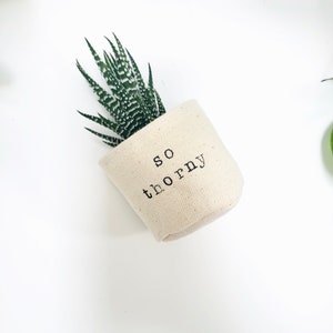 Peut inclure: Une petite plante succulente dans un pot en tissu blanc avec le texte "so thorny" imprim&eacute; sur le c&ocirc;t&eacute;.