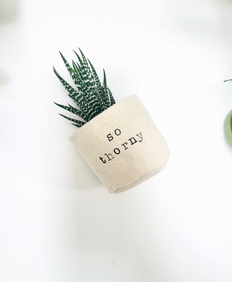 Peut inclure: Une petite plante succulente dans un pot en tissu blanc avec le texte "so thorny" imprim&eacute; sur le c&ocirc;t&eacute;.
