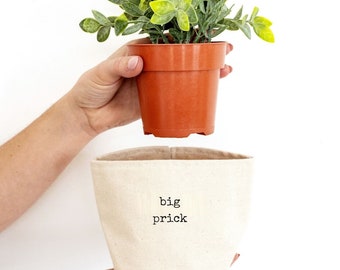 Big Prick - Planter Basket, Canvas Plant Pot, indoor planter, cute planter