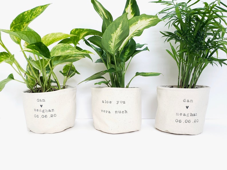 Unique wedding gift for couple indoor planter, bride gift, personal wedding gift image 2