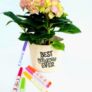 Colour your own Planter - Mother's Day Gift