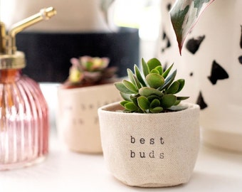 Best Buds 2" succulent planter | ADD PLANT