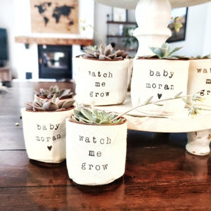 Watch me grow 2&quot; succulent planter | Baby Shower favour