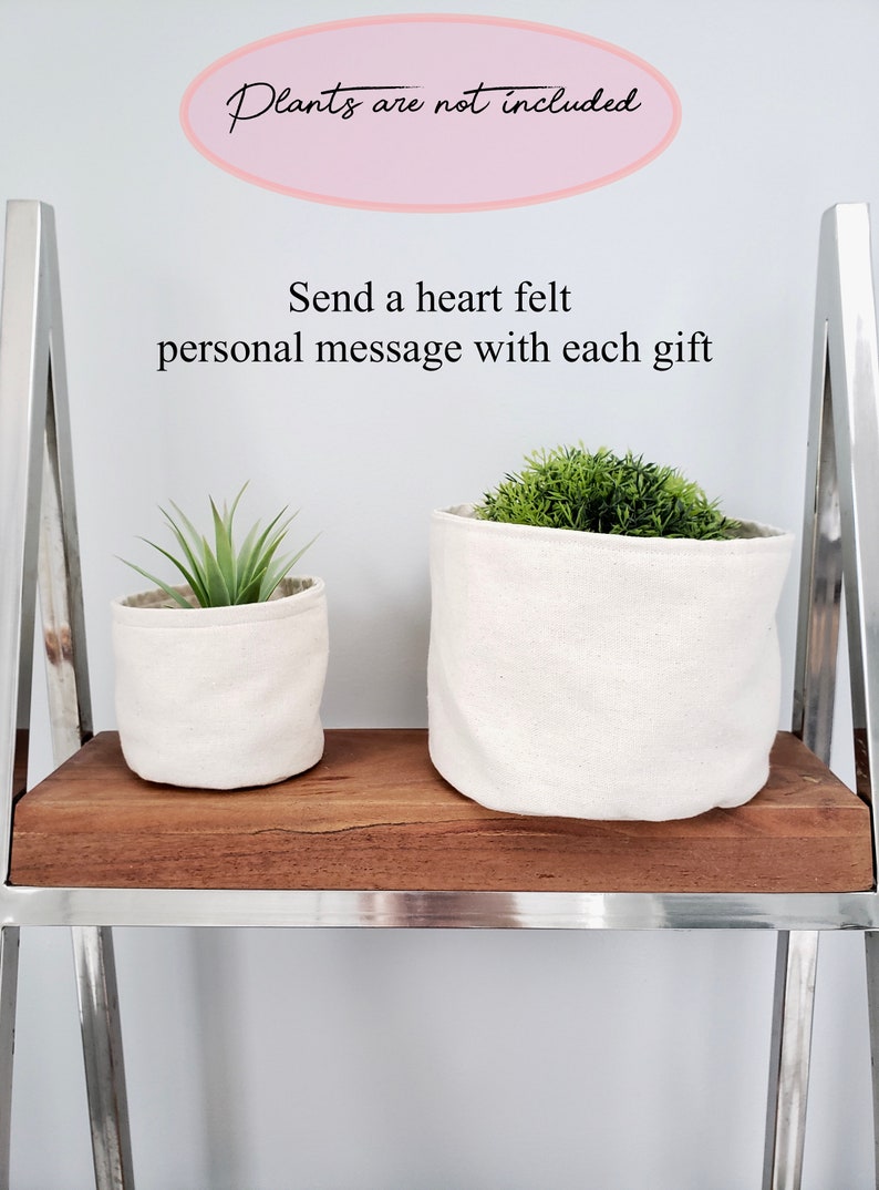 Unique wedding gift for couple indoor planter, bride gift, personal wedding gift image 4