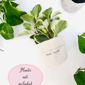 May include: A white fabric planter with the text "best buds" printed on it. The planter is filled with a green and white variegated plant. A pink circle with the text "Plants not included" is in the lower left corner of the image.