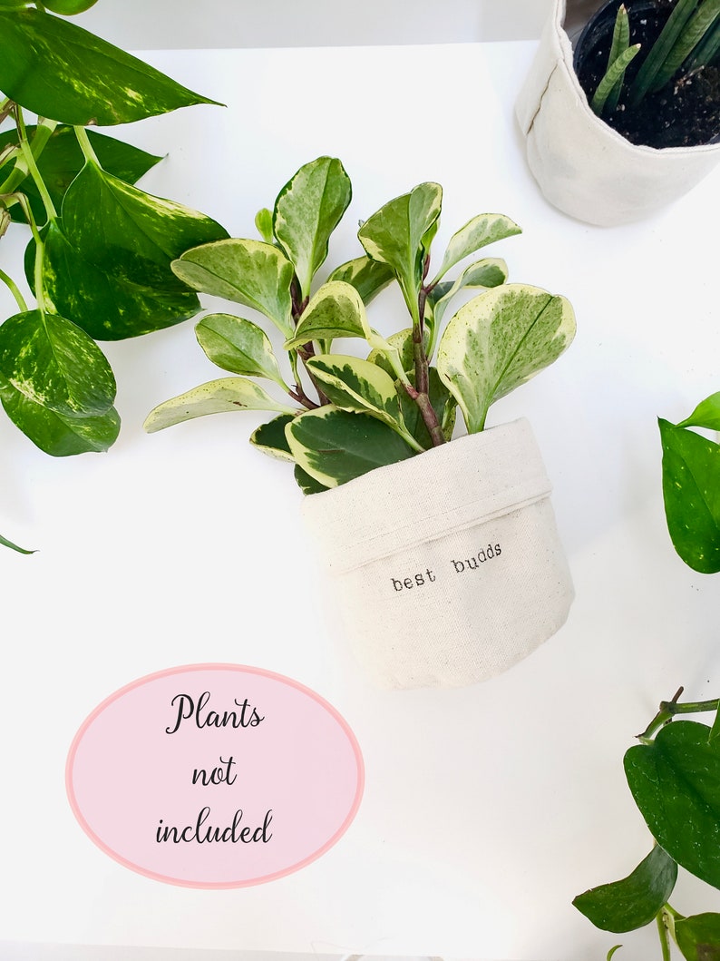 May include: A white fabric planter with the text "best buds" printed on it. The planter is filled with a green and white variegated plant. A pink circle with the text "Plants not included" is in the lower left corner of the image.