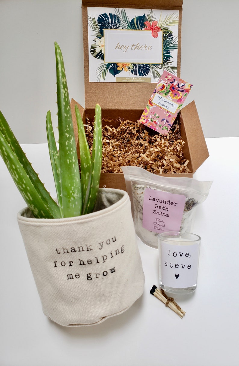 May include: A gift box filled with a potted aloe plant, a bag of lavender bath salts, a small candle, and matches. The plant pot is white canvas with the text "thank you for helping me grow". The candle is clear glass with a white label that says "love, Steve". The bath salts are in a clear plastic bag with a white label that says "Lavender Bath Salts Soak Breath Relax".