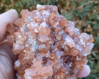 Braune Aragonit Stufe - Glänzende Kristalle, AA Qualität