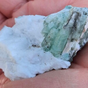Peut inclure: Un groupe de cristaux vert clair incrustés dans une roche blanche. Les cristaux sont translucides et ont un éclat vitreux.