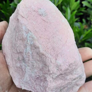 Peut inclure: Une roche rose de forme irrégulière avec une surface rugueuse et texturée. La roche a une teinte rose clair avec des zones de couleur plus claire et quelques taches grises plus foncées. La roche est tenue dans une main, avec un feuillage vert en arrière-plan.