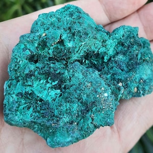 ALGUES DE MALACHITE - Motifs exquis, qualité AA du Congo
