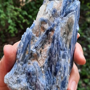 Op de afbeelding: Een hand houdt een ruwe, natuurlijke blauwe kyanietkristal vast. Het kristal heeft een gelaagde, vezelachtige structuur met tinten blauw, wit en bruin. De achtergrond is wazig groen gebladerte.