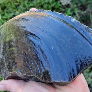 Könnte beinhalten: Ein großer, dunkler Obsidianstein mit glatter, reflektierender Oberfläche. Der Stein hat eine tiefschwarze Farbe mit wirbelnden Mustern und einem leicht rauen, strukturierten Rand. Der Naturstein wird in einer Hand vor einem verschwommenen grünen Hintergrund gehalten.