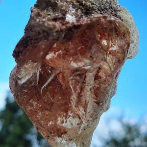 AMBER COPAL Raw from Kongo: Golden Glow of Youthful Earth, AA Quality