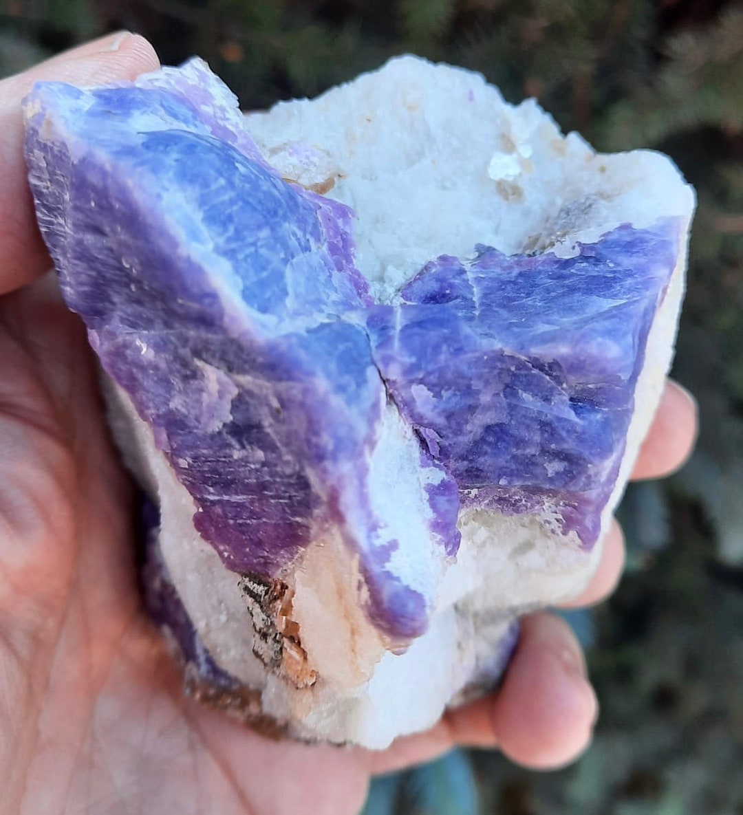 HACKMANITE With MUSCOVITE Specimen: Color-changing Crystal From ...