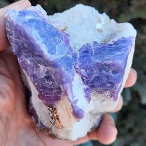 May include: A large purple and white crystal cluster with a rough, natural texture. The crystal has a deep purple color and is surrounded by white matrix.