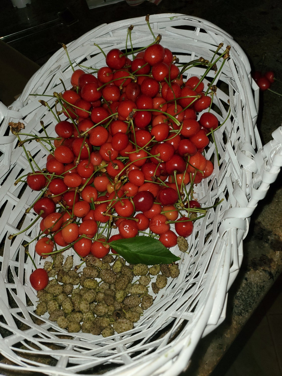 All-Natural Cherry Pits No pesticides or artificial products | Etsy