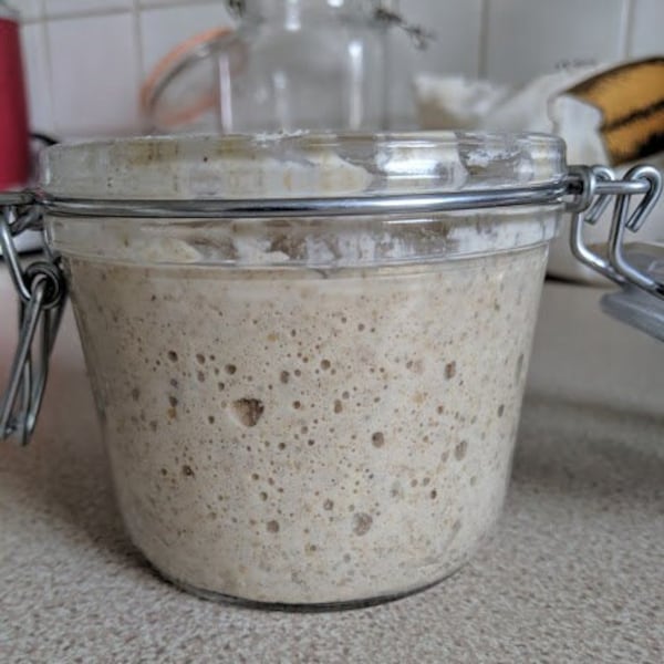 Fresh Scandinavian Organic Rye Sourdough starter