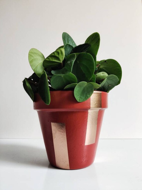 Planters & Pots Outdoor & Gardening hand painted terracotta plant pot. MADE TO ORDER custom etna