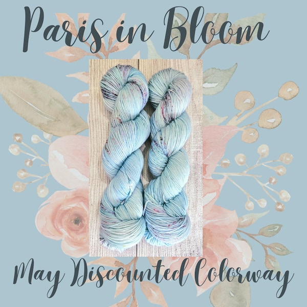Paris in Bloom- May Discounted- Hand Dyed Yarn on Extrafine Superwash Merino