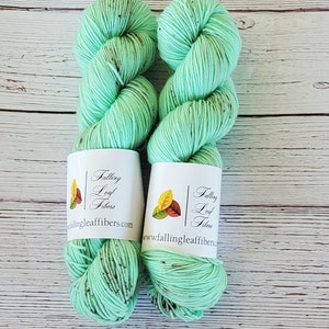 Mint Chocolate Chip Hand Dyed Yarn on Extrafine Superwash Merino