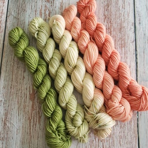 Peach Blossom Mini Skein Set