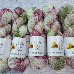 Garden Stroll Hand Dyed Yarn on Extrafine Superwash Merino