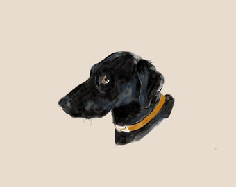 Custom Pet Portrait