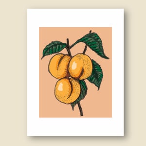 Carte postale d’abricot botanique