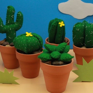 Felt Plush Succulent PATTERN