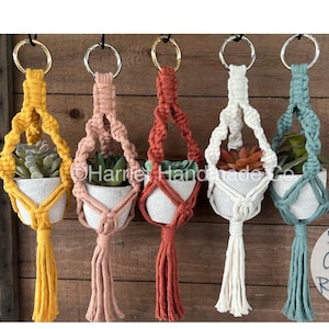 Könnte beinhalten: Fünf Makramee-Pflanzenhänger mit kleinen Sukkulenten in Töpfen. Die Hänger sind in Gelb, Pfirsich, Rot, Weiß und Türkis. Der Text "50+ Cord Colors & 3 Ring Styles" ist im Bild sichtbar.