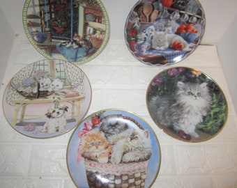 Cat collector plates