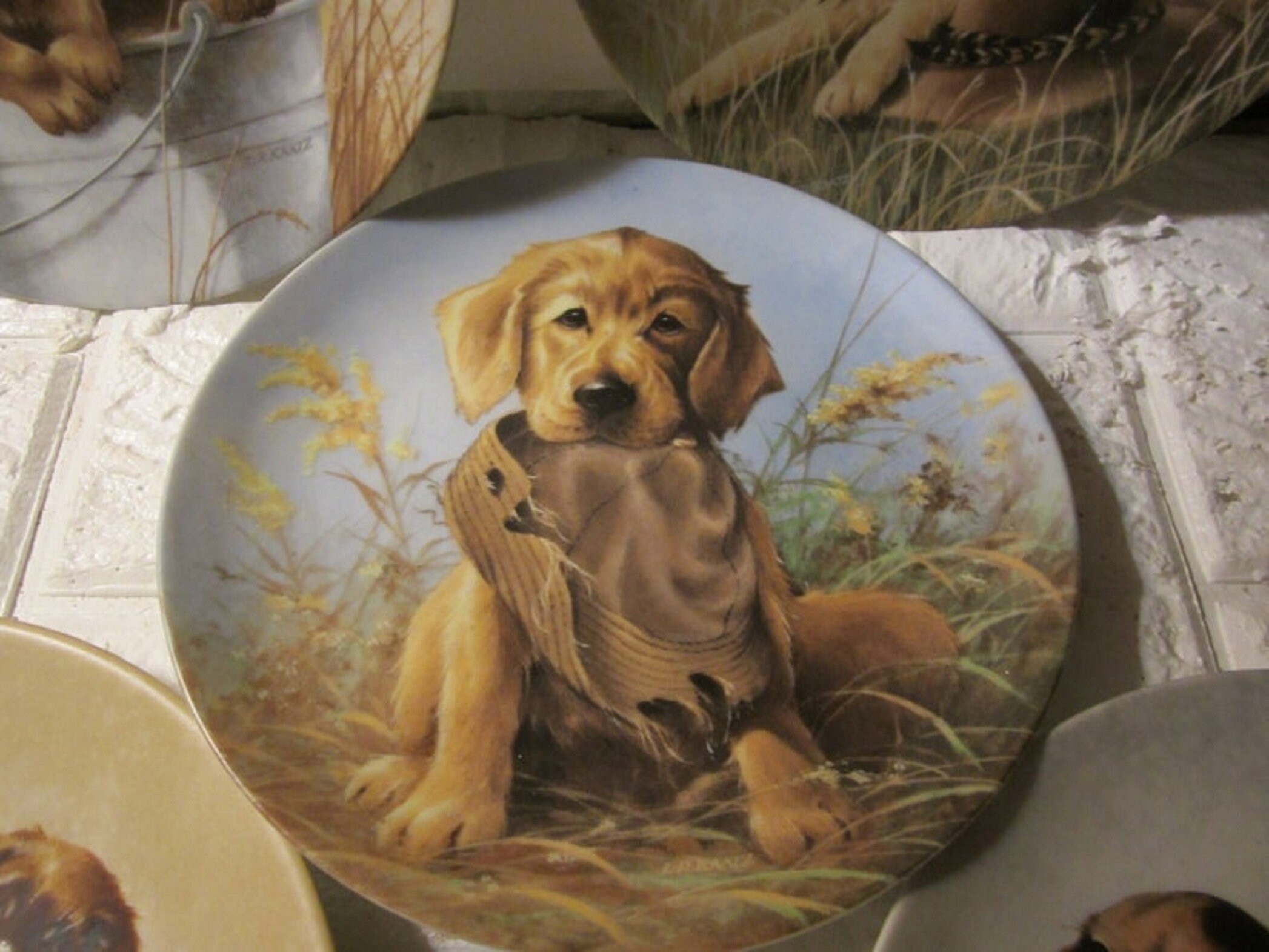 Name Plate For Dog Crate Paper Plate Dog Craft For Kids [Free