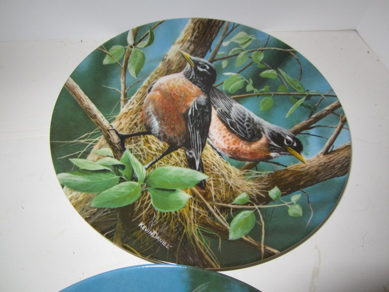 Bradford Exchange Collectible Bird Plates Set of Four Etsy