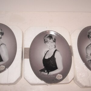Bradford Exchange Princess Diana Plates