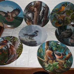 Vintage lkNOWLES Bird collection plates