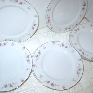 Rosebud Fine China Japan set of 9 salad plates