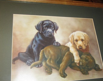 Puppies art lithograph