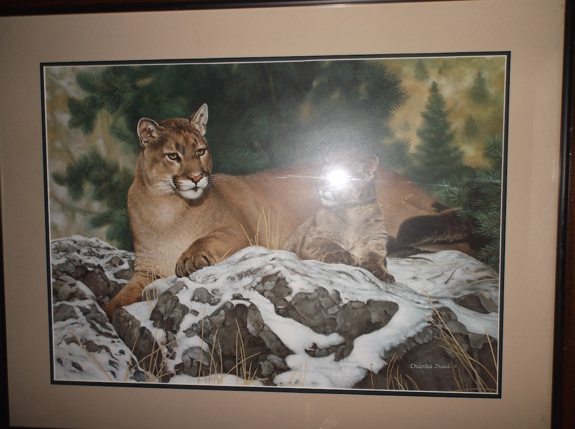 Large Signed Limited Numbered Lithograph Signed By Artist With Etsy