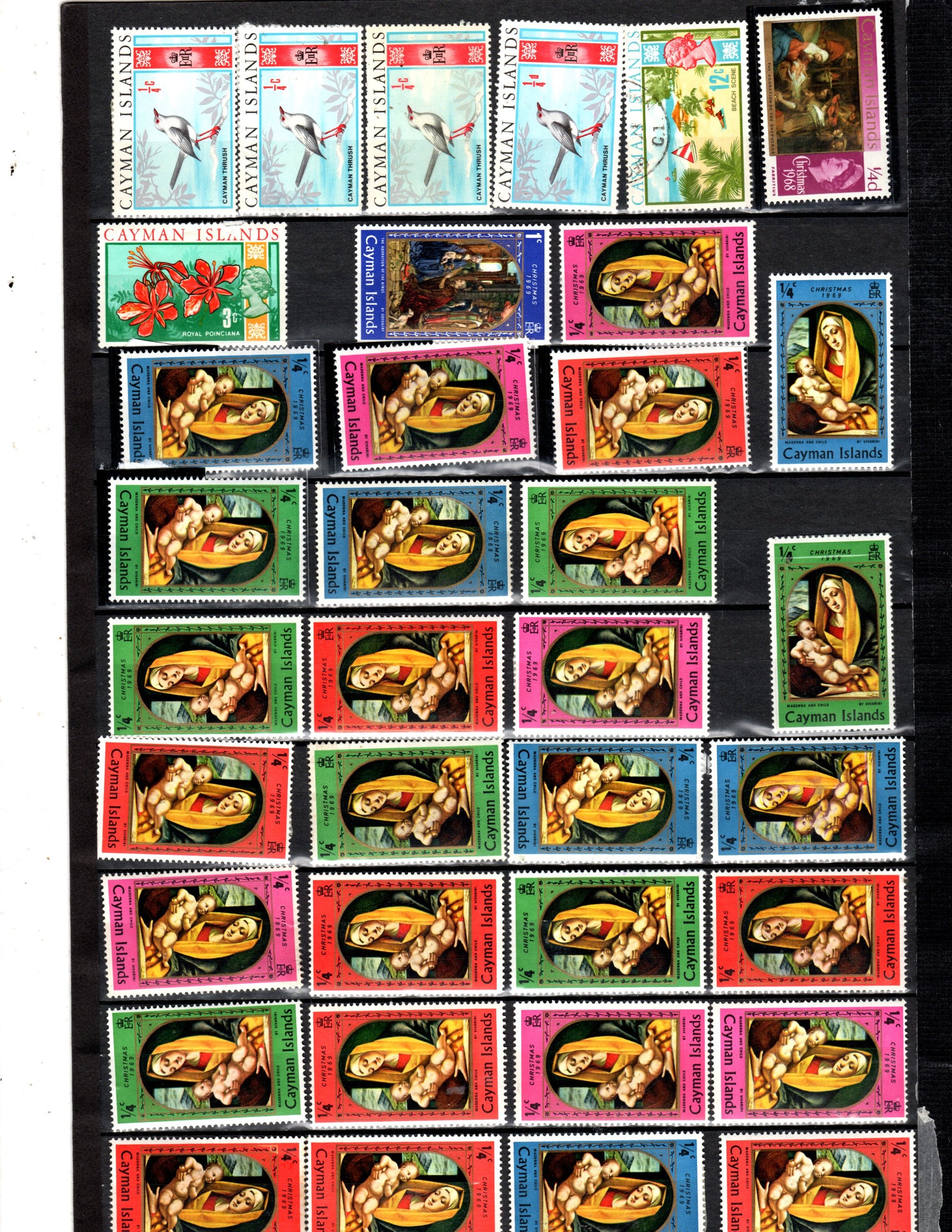 3861 外国切手 ケイマン諸島 1995年 ウミガメ 6種完 古い 世界各国