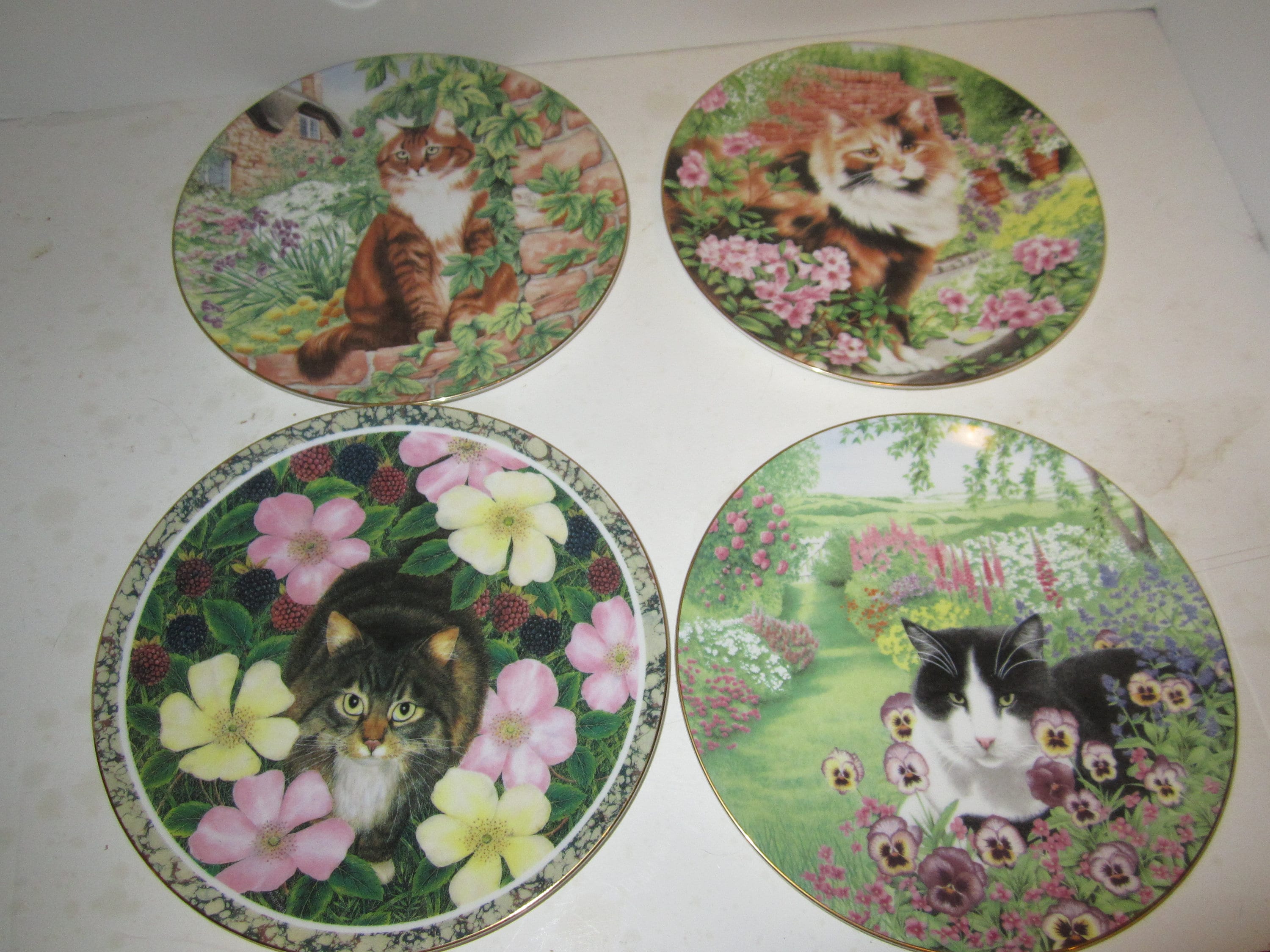 Coalport fine bone china cat collector plates