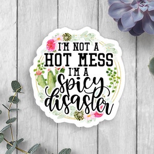 Hot Mess Spicy Disaster Vinyl Sticker, Car Window Decal, Car Window Sticker, Tumbler Sticker, Laptop Sticker, Cactus