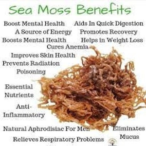 Authentic Dr Sebi Inspired Sea Moss capsules 100 Vegetable Capsules