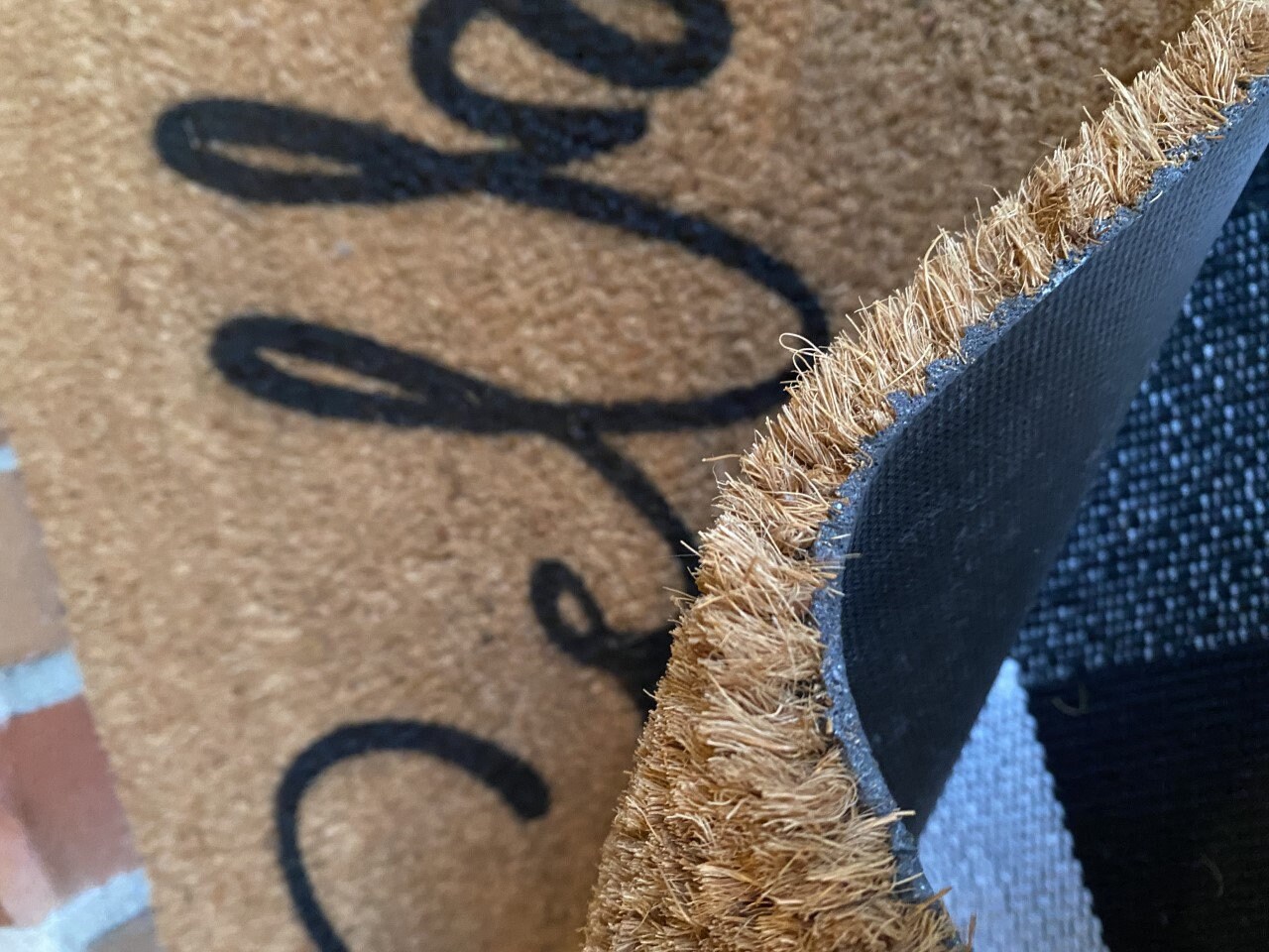 Back Door Guests Are the Best Doormat Rug Custom Doormat Etsy