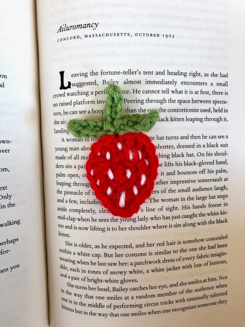 Strawberry Applique Crochet PDF Pattern Simple Easy Flat Fruit with Leaves and Stem Easy Beginner Instructions Tutorial Spring Summer image 1