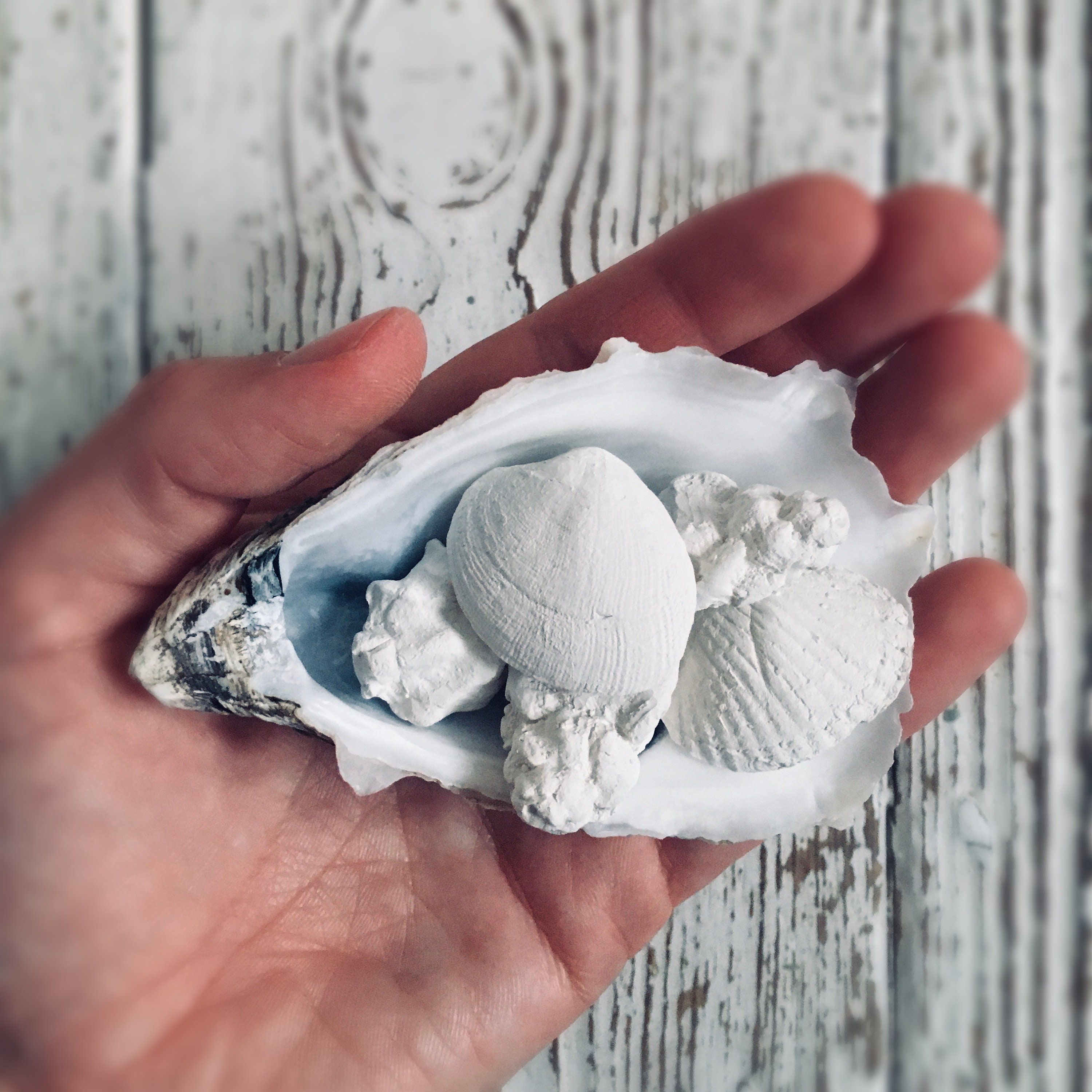 Shell Desk Diffuser Ceramic Sea Shell Aromatherapy Oil Etsy UK