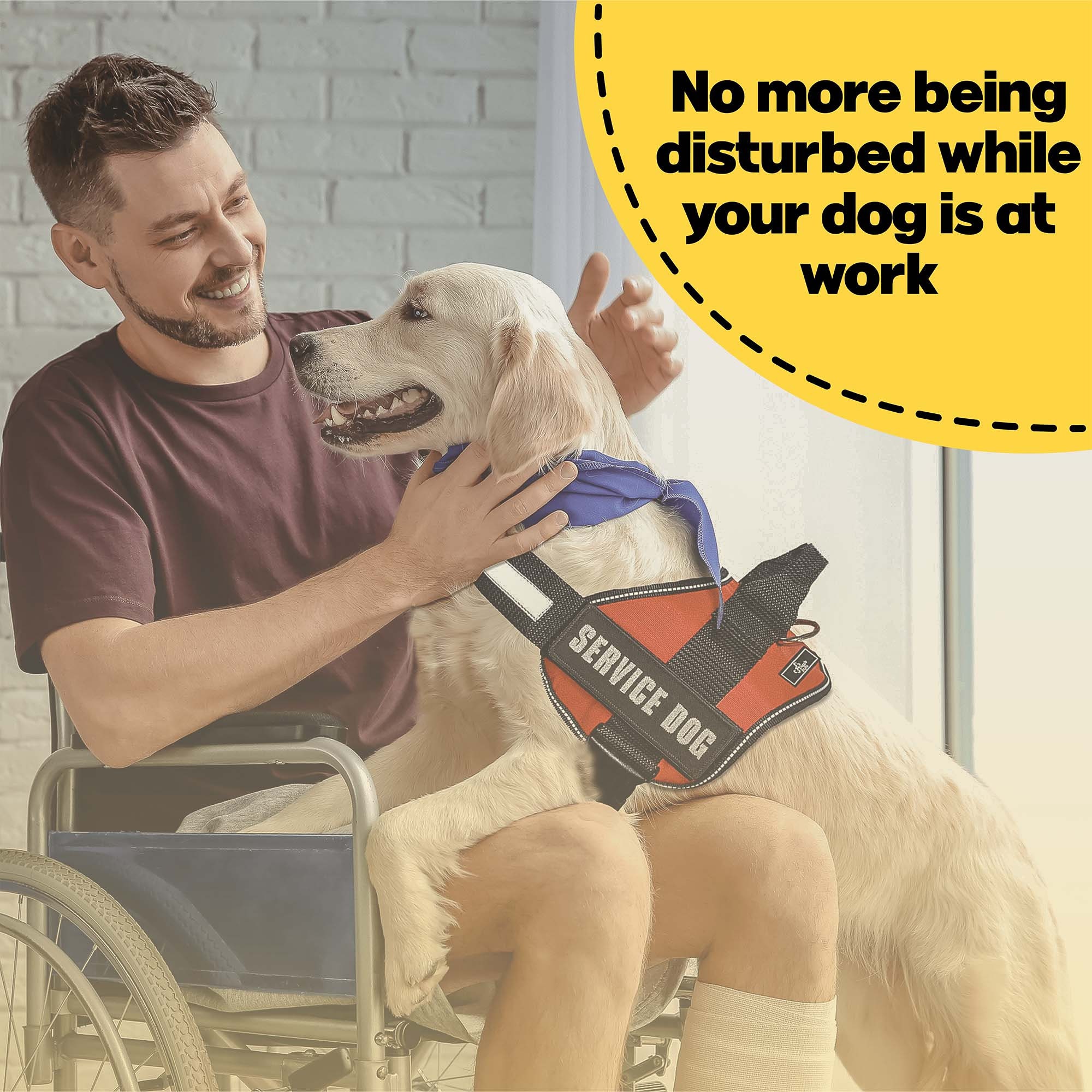 Do Not Pet Vest Dog Harness With Reflective Patches No Pull Etsy