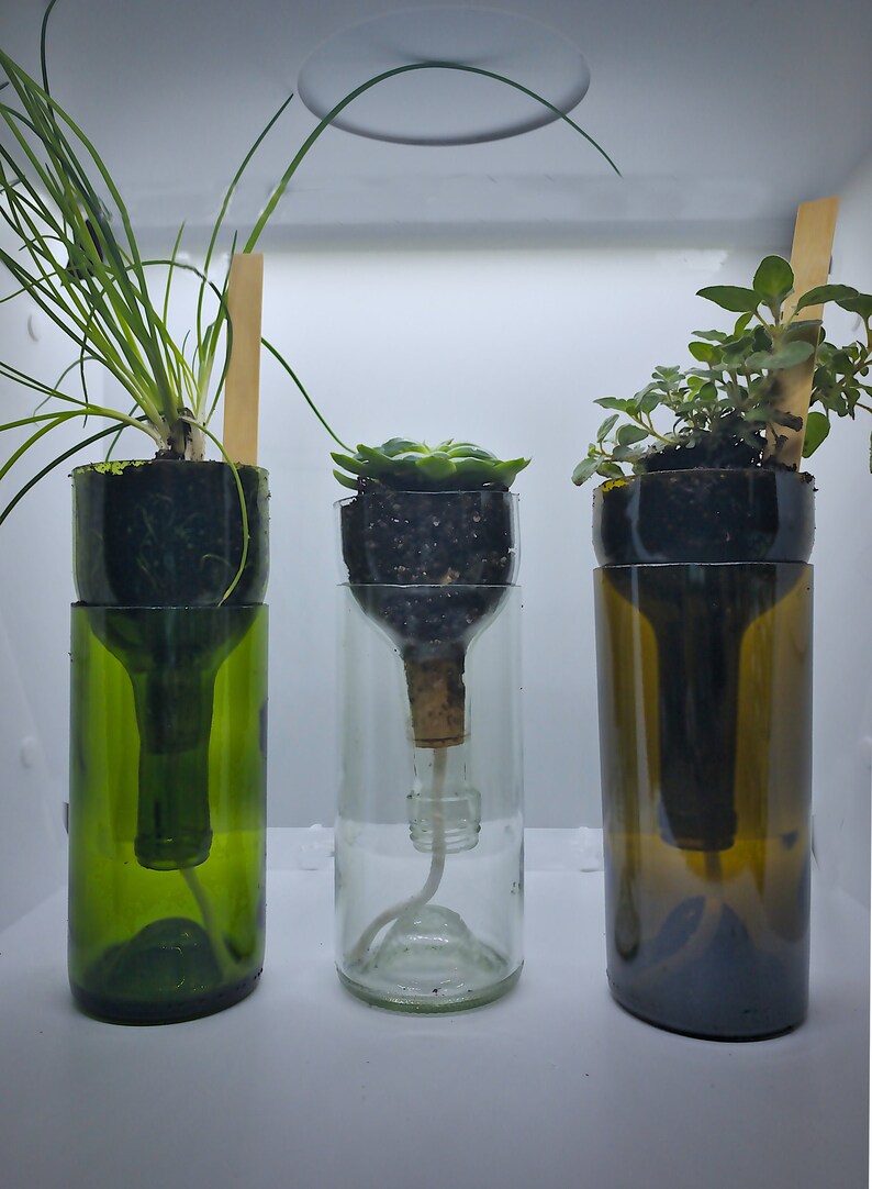 Wine Bottle Planter Self Watering Planter Wine Lover Gift Etsy